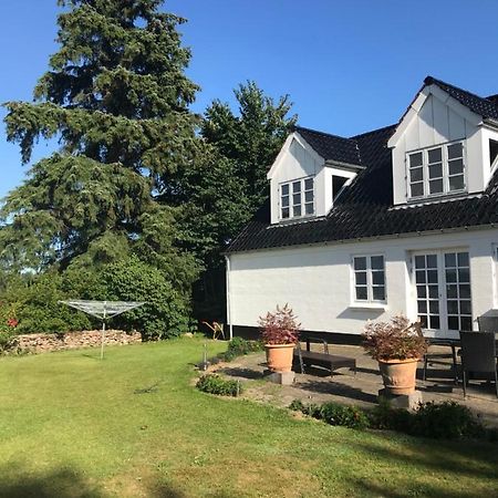 Pedersholt Bed & Breakfast Dybvad Εξωτερικό φωτογραφία