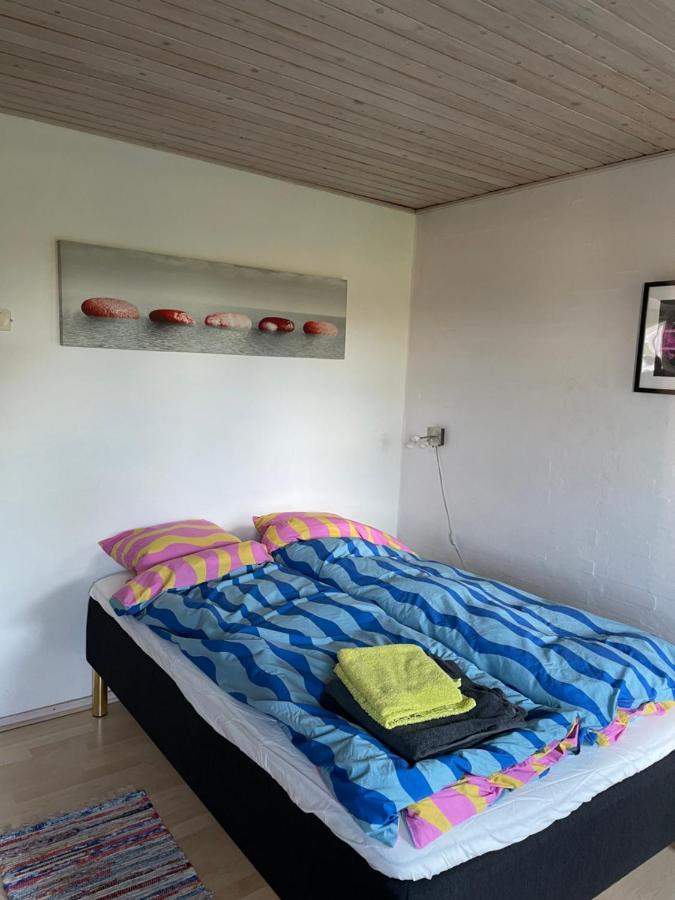 Pedersholt Bed & Breakfast Dybvad Εξωτερικό φωτογραφία