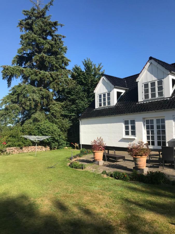 Pedersholt Bed & Breakfast Dybvad Εξωτερικό φωτογραφία